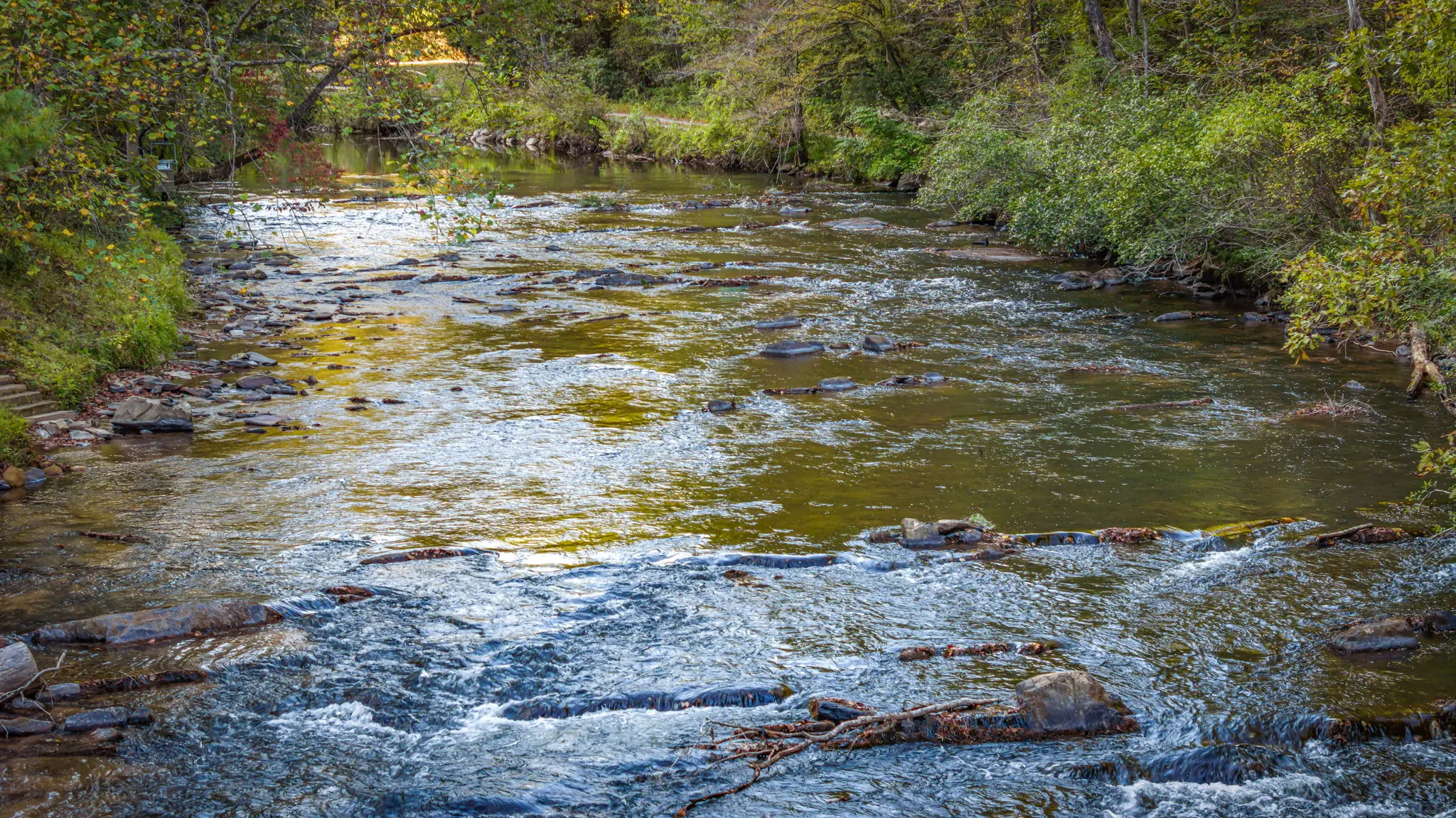 Mountaintown Creek is a trout fishing paradise.